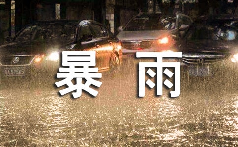 �P(gu��n)�ڱ��갲ȫ�̰�����
