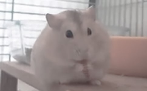 �}���^����ӛ4ƪ