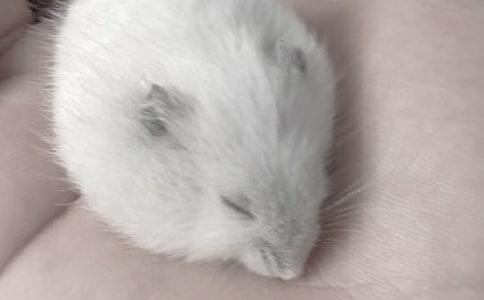 ���x�}���^����ӛ7ƪ