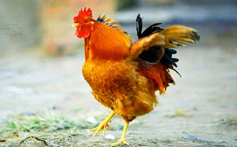 ���u�ڵĹ��u�̰�7ƪ