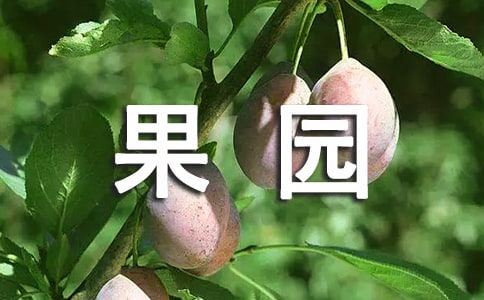 ���@���ļ�����[��(y��u)]