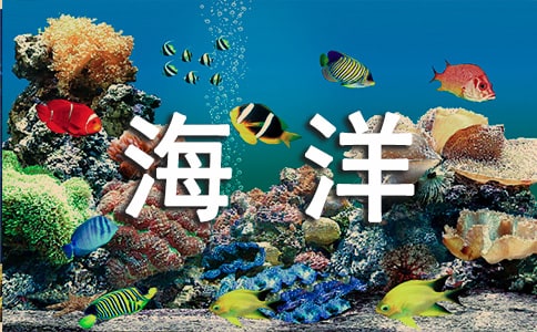 �����������ľ�Ʒ��4ƪ��