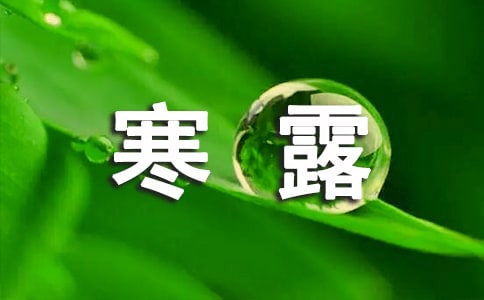 ��¶��(ji��)���֪�R(sh��)