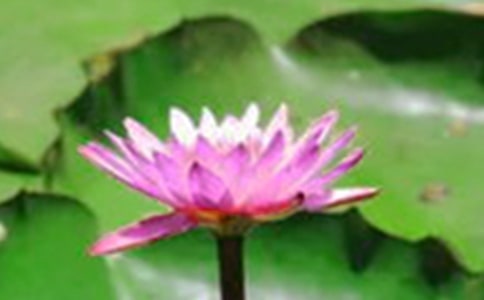 �ɻ�������6ƪ[���T]