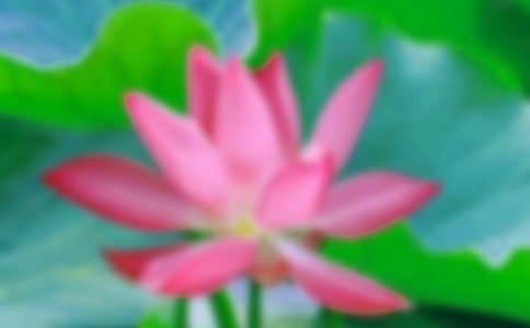 �����ɻ�����300��8ƪ����(y��u)��