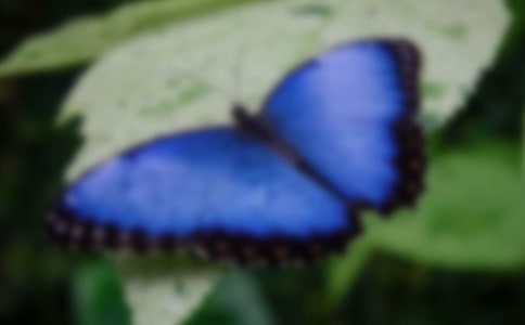 �����á�����������300��3ƪ
