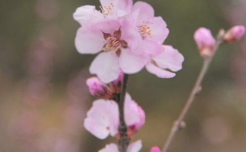 ͨ�û��䃞(y��u)������ժ�34�l