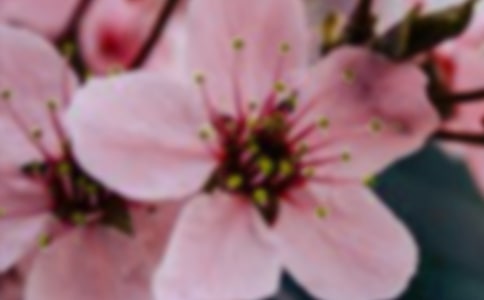 ��(j��ng)�仨�䃞(y��u)������ժ�36��