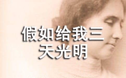 �x����o����������и�