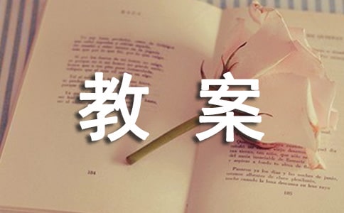 校車安全教案