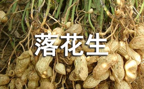�仨���̌W(xu��)��(sh��)�