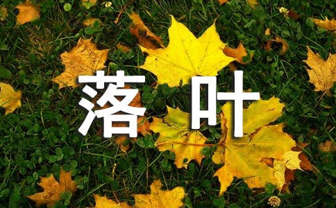 ���~�����ąR����3ƪ��