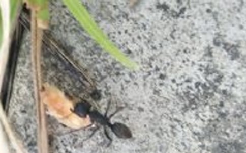 СΛρ����^���D��Ԓһ�꼉