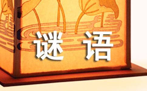 ���꼉(j��)�i�Z����