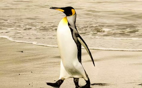 �а����g(sh��)�̰����옷(l��)�����Z