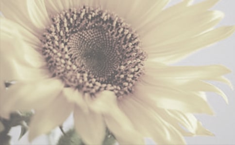 ̫ꖻ��^����ӛ�R��10ƪ