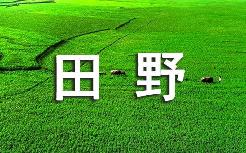 ��������Ұ���ľ�Ʒ��7ƪ��
