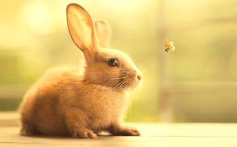 С���Ӱ��}�����D��(xi��)Ԓ(hu��)