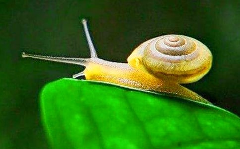 �а����g(sh��)�̰��������Ĵ�΁ţ