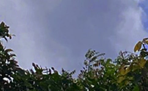 �簲�����Z���\86��
