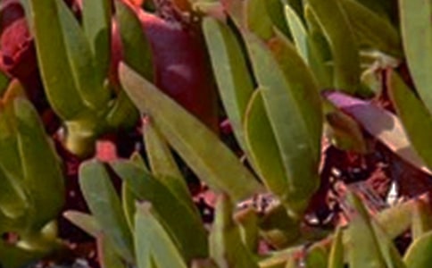 �簲������ͨ��60�䣩