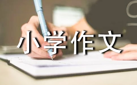 ��(sh��)�õĘ��~С�W(xu��)���ąR��5ƪ��Ʒ5ƪ