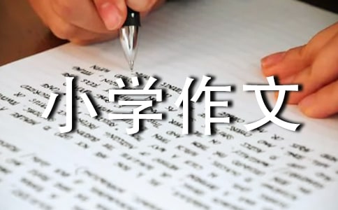 ���~С�W(xu��)���Ľ�(j��ng)��(6ƪ)