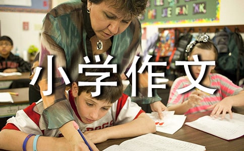 ��ͨ�ã����~С�W(xu��)����