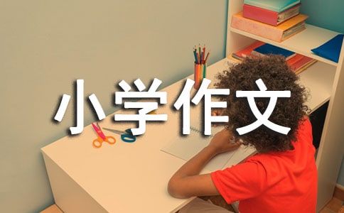 �����]�����~С�W(xu��)����4ƪ