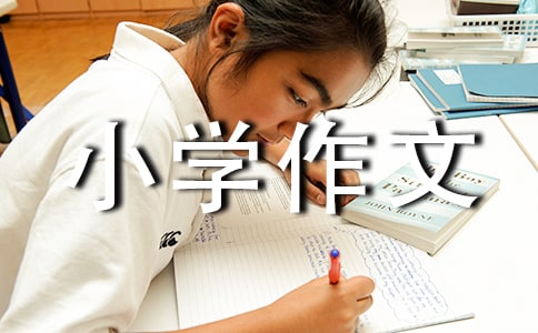 ����Ʒ����(sh��)�~С�W(xu��)������ƪ
