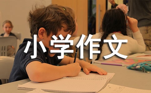 �����T(m��n)������С�W(xu��)����