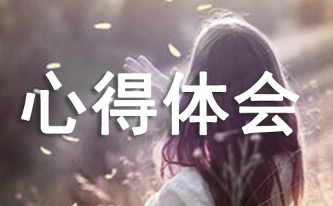 優(yōu)化營商環(huán)境心得體會