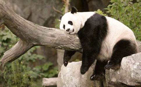 ��؈����Ŀ��D��(xi��)Ԓ��(y��u)�㡾5ƪ��
