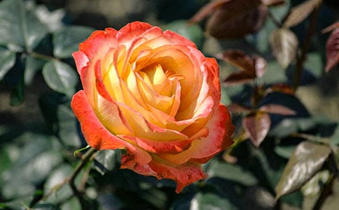 �¼����^����ӛ���\11ƪ