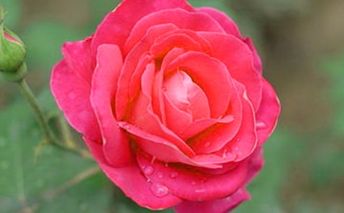 �¼����^����ӛ�R��15ƪ