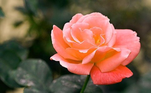 �¼����^����ӛ����11ƪ