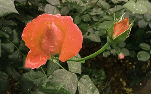 �¼������^����ӛ13ƪ
