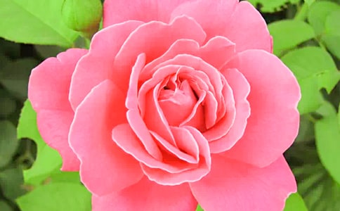 �¼����^����ӛ���\14ƪ