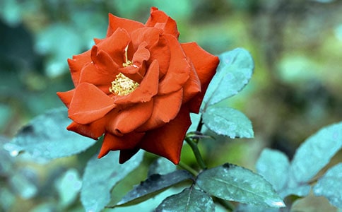 �¼����^����ӛ(3ƪ)