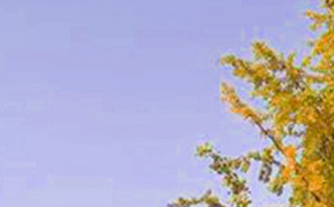 �����á�ÿ��һ���簲�����Z�Z�38��