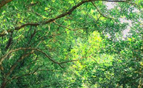 ��(sh��)�õ����\���簲���Z����Ȧ23��