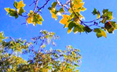 ���������簲�Z䛴�ȫ195�侫�x