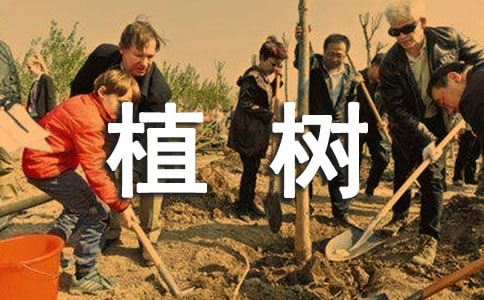 ֲ��������˽̌W(xu��)��(sh��)�