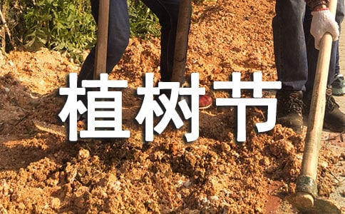 �����ã�ֲ�九(ji��)ֲ�������