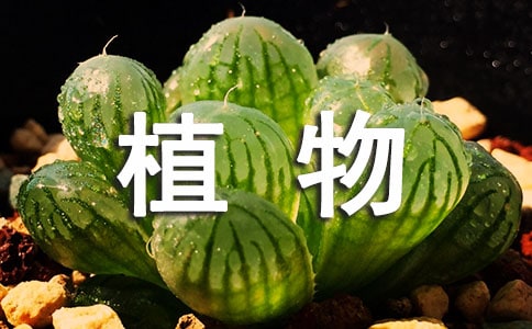 ֲ�����L�^����ӛ�R��9ƪ