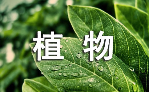 ���؂䡿ֲ���^����ӛ�ϼ���ƪ