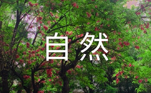 ���꼉(j��)�σ�(c��)��3��Ԫ���ģ�������Ȼ