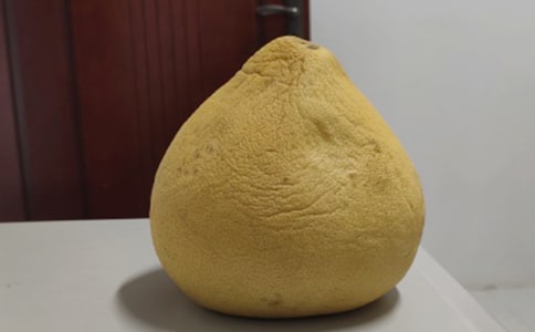 ���x��������300����ƪ
