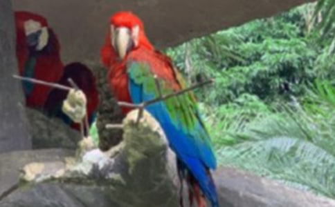 �W�^�^����ӛ(15ƪ)