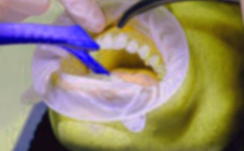 �y���İ�������
